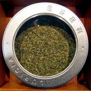 green tea bin